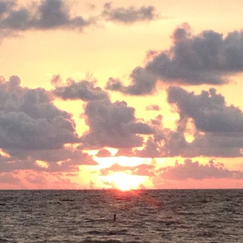 Meet your Posher, WC